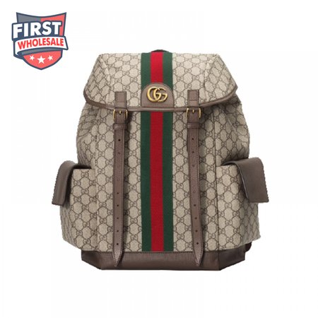 Gucci Ophidia Gg Backpack - GBP107