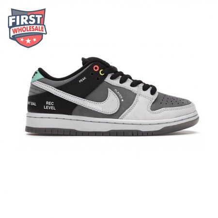 Dunk Low SB 'Camcorder' Men's