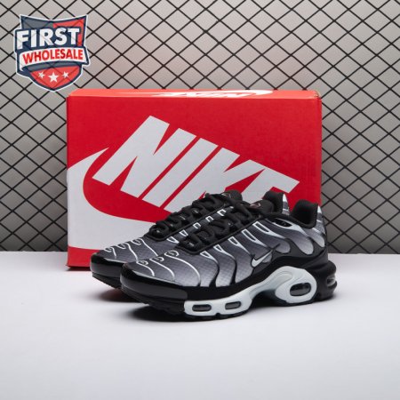 Nike Air Max Plus Black Silver White DM0032-003 Unisex